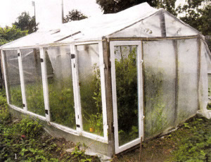парник из рам