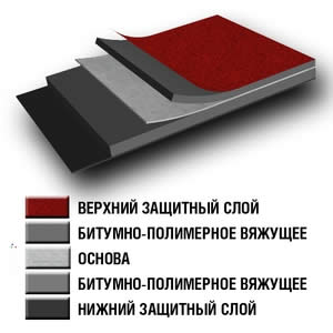 Структура листа линокрома Структура листа линокрома