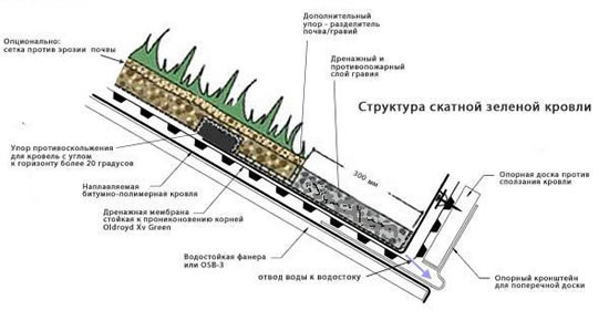 Структура скатной зеленой кровли Структура скатной зеленой кровли