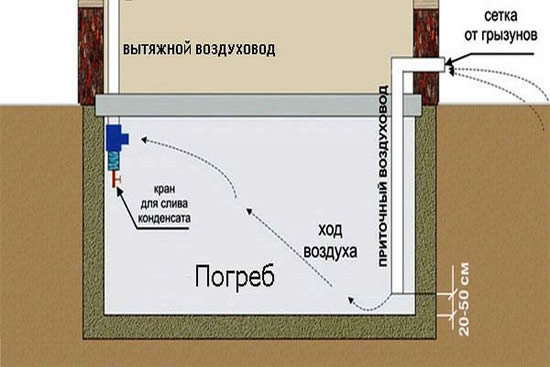 вентиляция в погребе